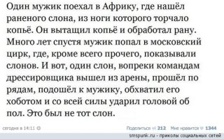 Смешные комментарии из социальных сетей