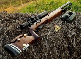 просто винтовка МОСИНА...