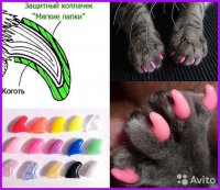 А я использую Антицарапки (прозрачные)


И с тех пор как я их коту одел, большая часть проблем с ним решилась сама собой. И в том числе теперь можно не боясь брать его лапу в любой момент... =)