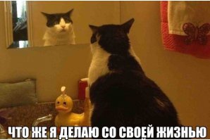 Подборка демотиваторов 