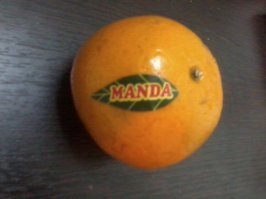 Прикольные надписи и объявления