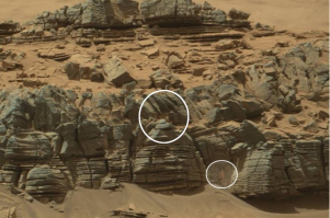 Лично я вижу Зерга, который охотится на гигантского краба, и спрятался в тени камней!