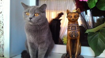 Маскируется