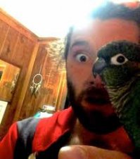 Фотоилюзия: 17 забавных снимков, к которым нужно присмотреться