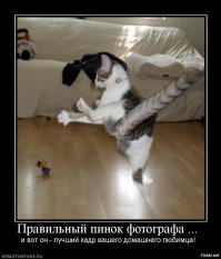 Нужный момент, удачный ракурс 6