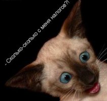 Вот и вся причина! 