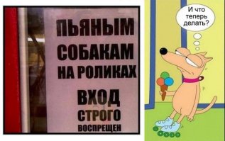 Фотоподборка за 06.08.2015