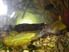 мое хозяйство