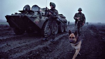 вот это военные фото сделанные в нужный момент