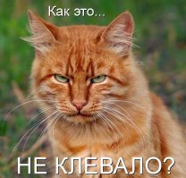 Муж рыбачит, я продаю