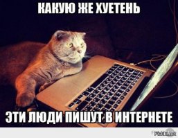 29 фото пар, глядя на которые, вы никогда не захотите жениться