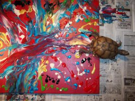 Да что там дельфины! У черепахи и то интереснее получается