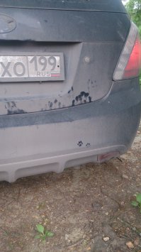 2000-летний отпечаток кошачьей лапы найден на куске римской черепицы