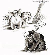 И у животных так !