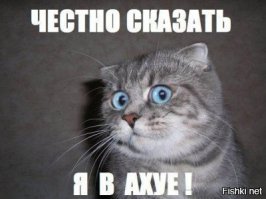 Злой пациент