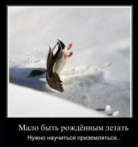 В Петербурге мотоциклист перепрыгнул Дворцовый мост в начале разводки