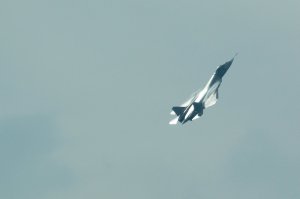 А так похоже! Вот мои: