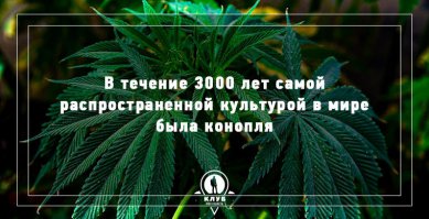 9 интересных фактов о мире