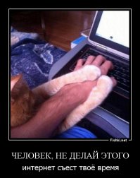 Рука в… лапе