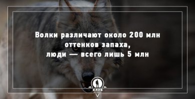 Никогда не понимал как высчитывают такие цифры. Цифры "с потолка"? Все-равно ведь никто не сможет проверить.