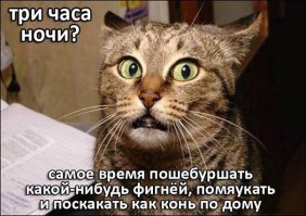 2000-летний отпечаток кошачьей лапы найден на куске римской черепицы