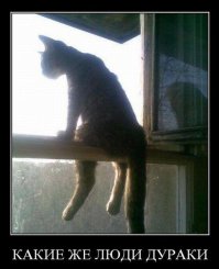 2000-летний отпечаток кошачьей лапы найден на куске римской черепицы