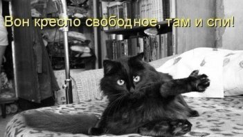 2000-летний отпечаток кошачьей лапы найден на куске римской черепицы