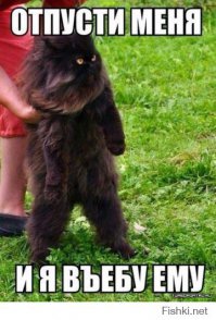 Я алкоголь не пью , я только курю , вы кого вызвали ?