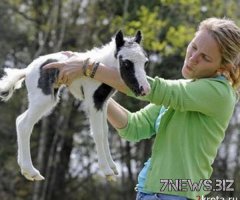 Есть еще один претендент - Эйнштейн.
Он и посимпатичнее, но не знаю, не перерос ли он её - фотки в инете, в основном, детские...