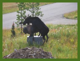 Фотографируйтесь с памятниками правильно!