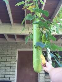 Фотоподборка за 07.08.2015