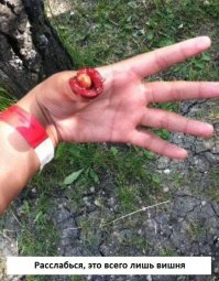 Забавный черный юмор