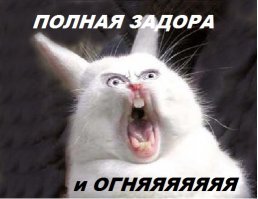 Отзыв в магазине игрушек для взрослых