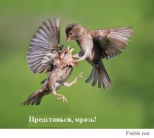 27 фотографий, которые показывают как удивительна и интересна жизнь на планете 