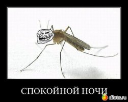 Что говорит о вашем характере поза, в которой вы спите