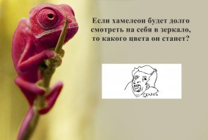 27 фотографий, которые показывают как удивительна и интересна жизнь на планете 