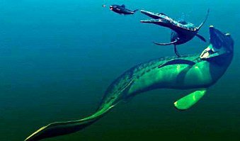 Быстро спросил у Гугля - вот из чего создана эта скала. Меловой период развития нашей планеты.