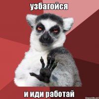 Это правда не енот, а лемур