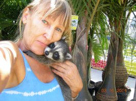 Ко мне тоже приходят,потому что я им еду оставляю на ночь: вареные куриные окорочка и кошачий корм. Они,конечно хулиганят,все цветочные горшки перевернут, землю растопчат, грязными лапами наследят возле бассейна,потом в птичьих поилках лапы помоют.Но люблю я их и поэтому все прощаю.