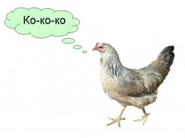 6 причин НЕ заниматься спортом