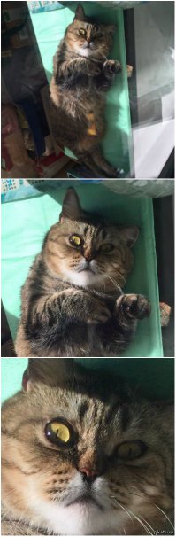 Котя потрясён