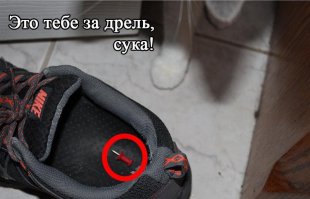 Кот против шуруповерта