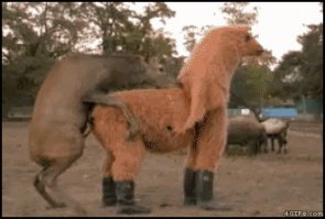 Нихрена у него орудие! Аж до второго через первого добрался! А первый убежать уже не мог...