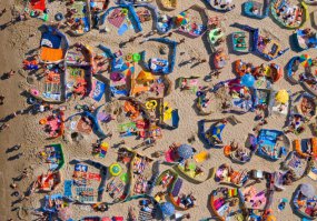 ага, а направление ветра каждый сам себе придумывает, и именно с подозрительной стороны ставят заборчик. Вот тут особенно заметна именно противоветренная защита