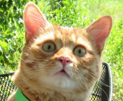 неужели правда?..