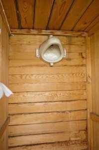 Хорошо что лампочка , а не душ.