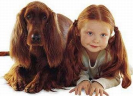 Забавная и неиссякаемая тема