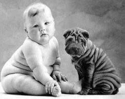 Забавная и неиссякаемая тема