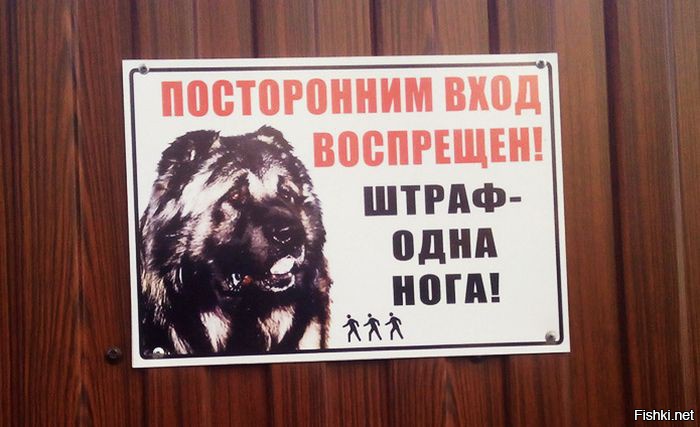 Прикольные надписи и объявления 