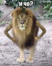  Северный мол морпорта Сочи 